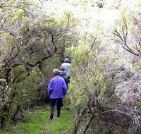 Jack And Hilda McArthur Walk - Tourism Noosa