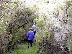 Jack And Hilda McArthur Walk - Tourism Noosa 0