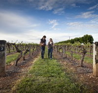 Coonawarra Wineries Walking Trail - Tourism Noosa