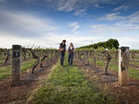 Coonawarra Wineries Walking Trail - Tourism Noosa 0