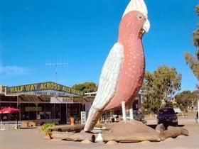  Tourism Noosa