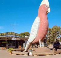The Big Galah - Tourism Noosa