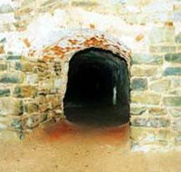 Unicorn Brewery Cellars - Tourism Noosa