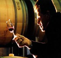 Salena Estate Wines - Tourism Noosa