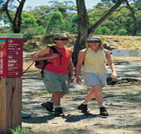 Riesling Trail - Tourism Noosa