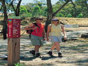 Riesling Trail - Tourism Noosa 0