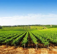 Aldinga Bay Winery - Tourism Noosa