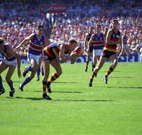 AAMI Stadium Tours - Tourism Noosa