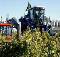 Ballast Stone Estate Wines Pty Ltd - Tourism Noosa