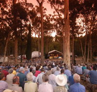 Bundaleer Forest Reserve - Tourism Noosa