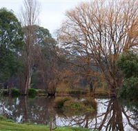 Gemtree Wetlands Ecotrail - Tourism Noosa