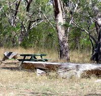 Penola Conservation Park - Tourism Noosa
