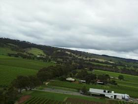 Kangarilla Road Vineyard And Winery - Tourism Noosa 0
