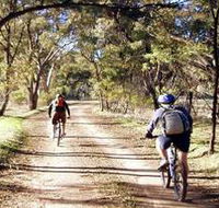 Bike About Mountain Bike Tours And Hire - Tourism Noosa