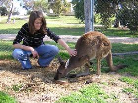 Mount Charles SA Tourism Noosa
