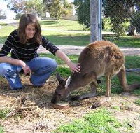 Pendleton Farmstay - Tourism Noosa