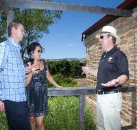 Shingleback Wine Cellar Door - Tourism Noosa