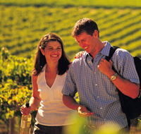 Lady Bay Vineyard - Tourism Noosa