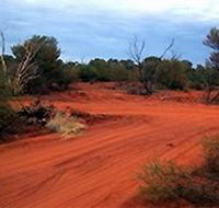 Tallaringa Conservation Park - Tourism Noosa