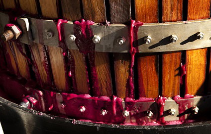 Seppeltsfield SA Tourism Noosa