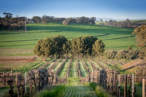 Heritage Wines - Tourism Noosa 1