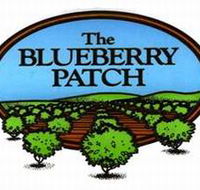 The Blueberry Patch - Tourism Noosa