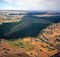 Mount Crawford Forest Reserve - Tourism Noosa