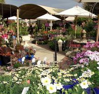 Serenity Nursery - Tourism Noosa