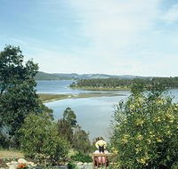 Inverawe Native Gardens - Tourism Noosa
