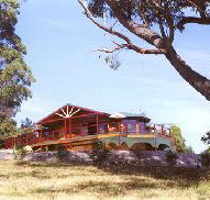 Barringwood Park Vineyard - Tourism Noosa