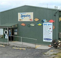 Stanley Seaquarium - Tourism Noosa