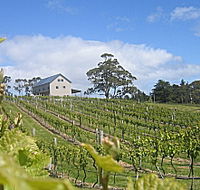 Bruny Island Premium Wines Bar and Grill - Tourism Noosa