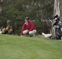 Tasmania Golf Club - The - Tourism Noosa