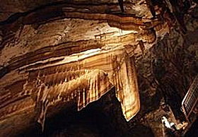 Gunns Plains Cave - Tourism Noosa 0