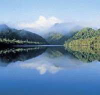 The Gordon River - Tourism Noosa