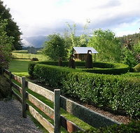 Wychwood Garden  Nursery - Tourism Noosa