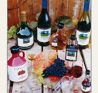 Hartzview Vineyard - Tourism Noosa