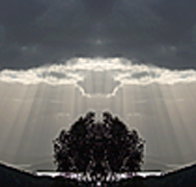 aart. Gallery of Fine Art - Tourism Noosa