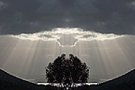 Aart. Gallery Of Fine Art - Tourism Noosa 0