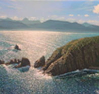 Colville Street Art Gallery - Tourism Noosa