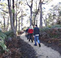 Bridport Walking Track - Tourism Noosa