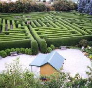 Westbury Maze and Tea Room - Tourism Noosa
