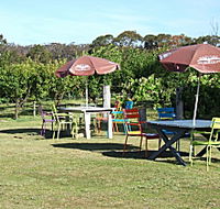 Cerise Brook Orchard  Family Golf - Tourism Noosa