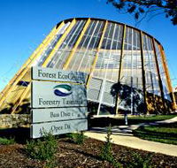 Forest EcoCentre - Tourism Noosa