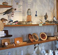 Touchwood Craft Gallery Gifts and Cafe - Tourism Noosa