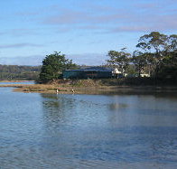 Salty Seas - Tourism Noosa