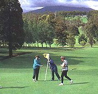Deloraine Golf Course - Tourism Noosa