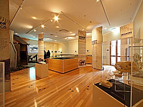 Tasmanian Tiger Exhibition - Tourism Noosa 0