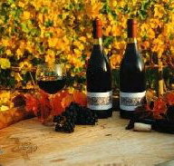 Craigow Vineyard - Tourism Noosa