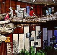 West Coast Visitor Information and Booking Centre - Tourism Noosa